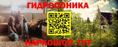 гашик Краснознаменск