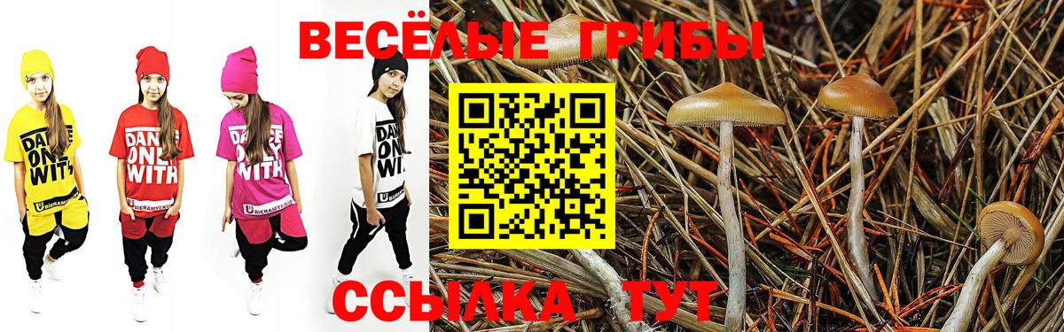Аксай  Псилоцибиновые грибы GOLDEN TEACHER  Галлюциногенные грибы MAGIC MUSHROOMS  цены   Вход с VPN 